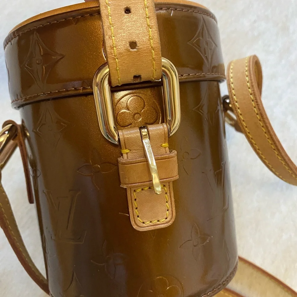 Louis Vuitton RARE vanity Brown Crossbody Bag LIKE NEW